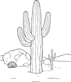 Tall Saguaro Sentinel - Printable coloring page