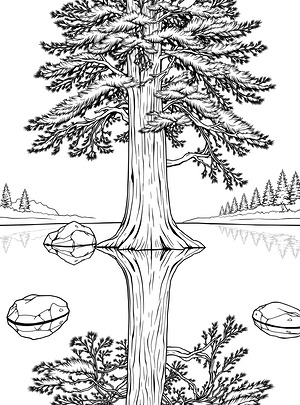 Tree Reflected in Lake - Printable coloring page