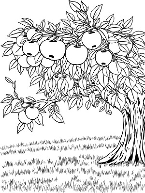 Laden Orchard Branches - Printable coloring page