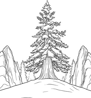 Snowy Pine Sentinel - Printable coloring page