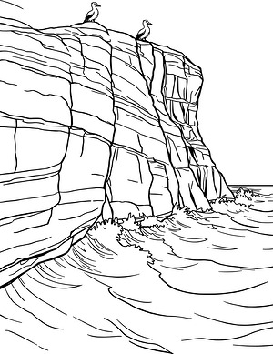 Birds on Sea Rocks - Printable coloring page