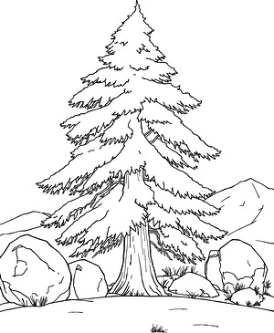 Frosty Tree and Rocks - Printable coloring page