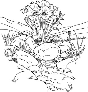 Boulders in Flower Field - Printable coloring page