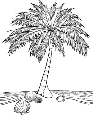Beach Palm and Shells - Printable coloring page