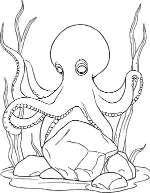 Octopus Tentacles Over Rocks - Printable coloring page