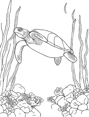 Sea Turtle Gliding Through Kelp Forest - Printable coloring page
