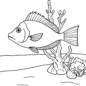 Triggerfish Near Coral - Printable coloring page