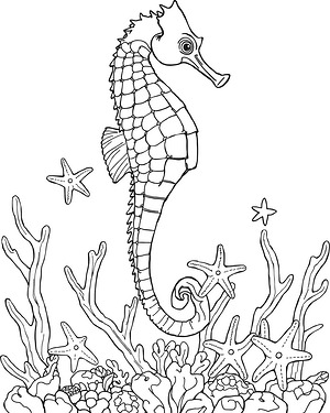 Seahorse Among the Coral - Printable coloring page