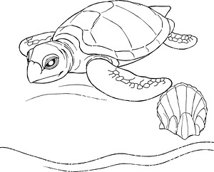 Baby Turtles Crawl Shore - Printable coloring page
