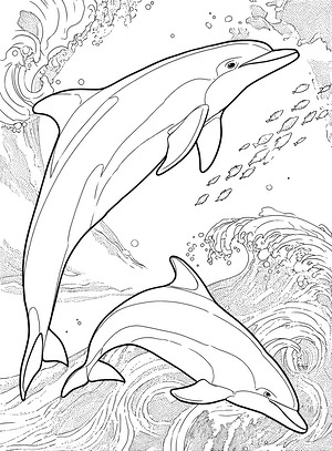 Dolphin Pair in Waves - Printable coloring page