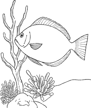 Sailfin Tang on Patrol - Printable coloring page