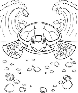 Hatchling Journey Begins - Printable coloring page