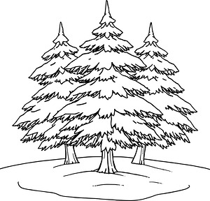 Snow Laden Branches - Printable coloring page