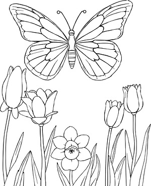 Butterfly Rests on Tulips - Printable coloring page