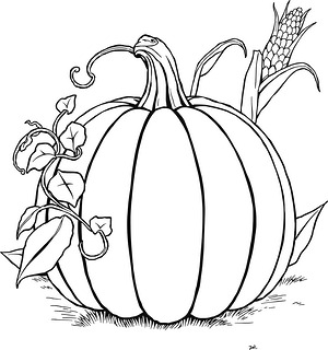 Harvest Corn and Pumpkins - Printable coloring page